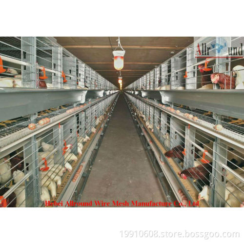 best sale and complete chicken cage